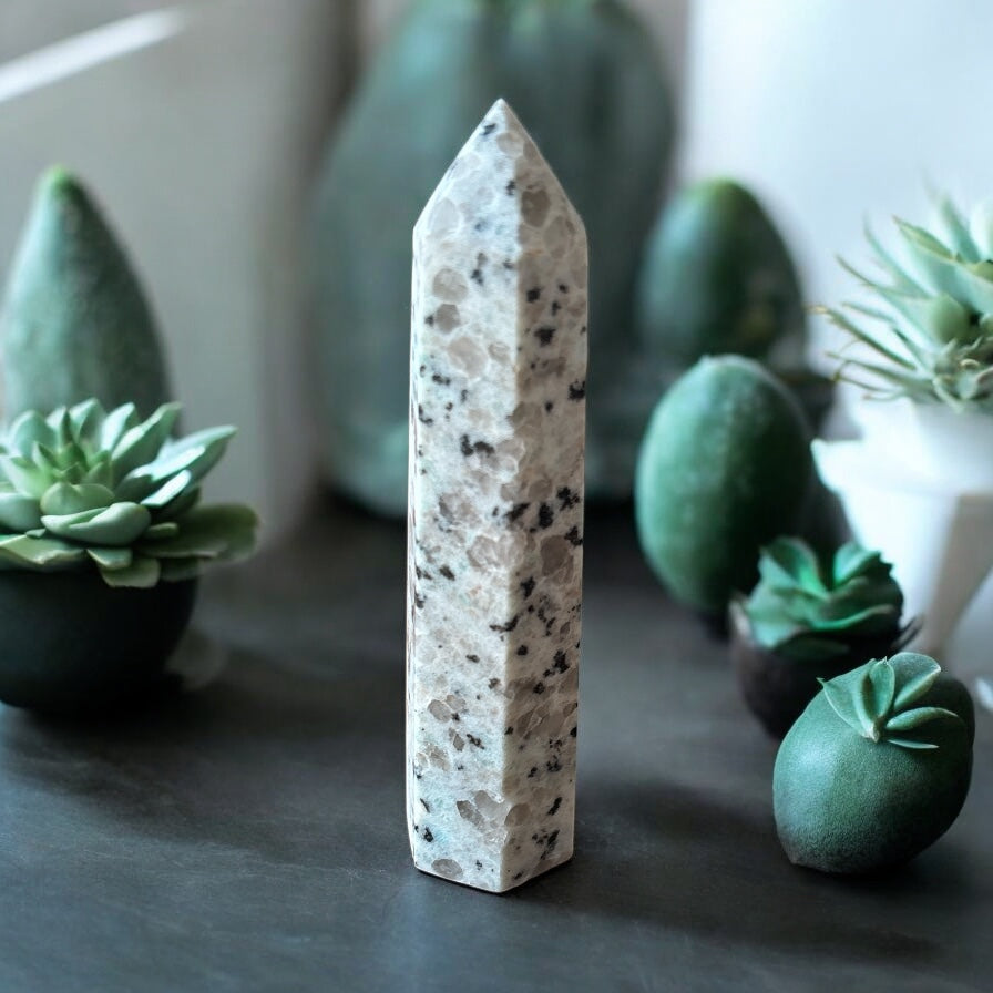Kiwi Jasper