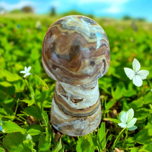 Bumblebee Jasper Mushroom